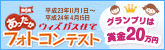 �E�B�Y�K�X�Z�� ���������t�H�g�R���e�X�g