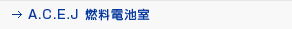 A.C.E.J �R���d�r��